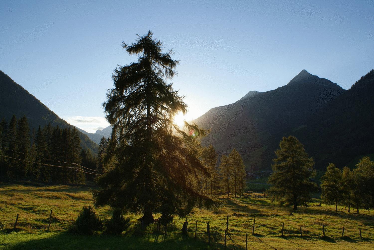 Gasthaus Oberweissen-Hittl سانكت جاكوب ان ديفر المظهر الخارجي الصورة